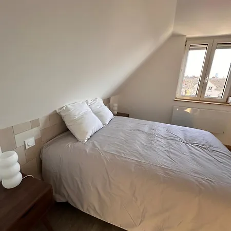 Le 9 De Fer * Colmar