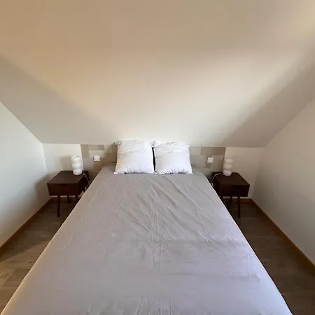 Le 9 De Fer Apartment Colmar